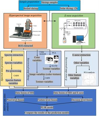 Fusing hyperspectral imaging and electronic nose data to predict moisture content in Penaeus vannamei during solar drying